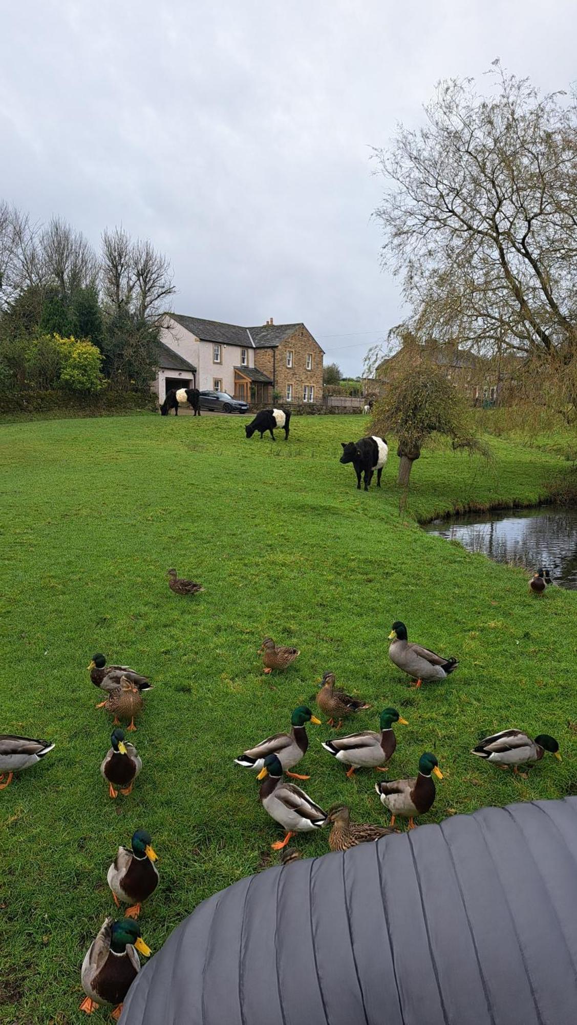 Church House Barn Lake District & Solway Coast With Solway Firth Views Силлот Экстерьер фото